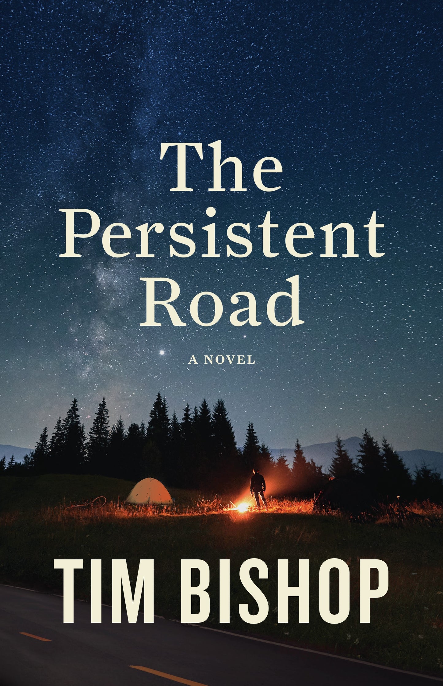 The Persistent Road paperback