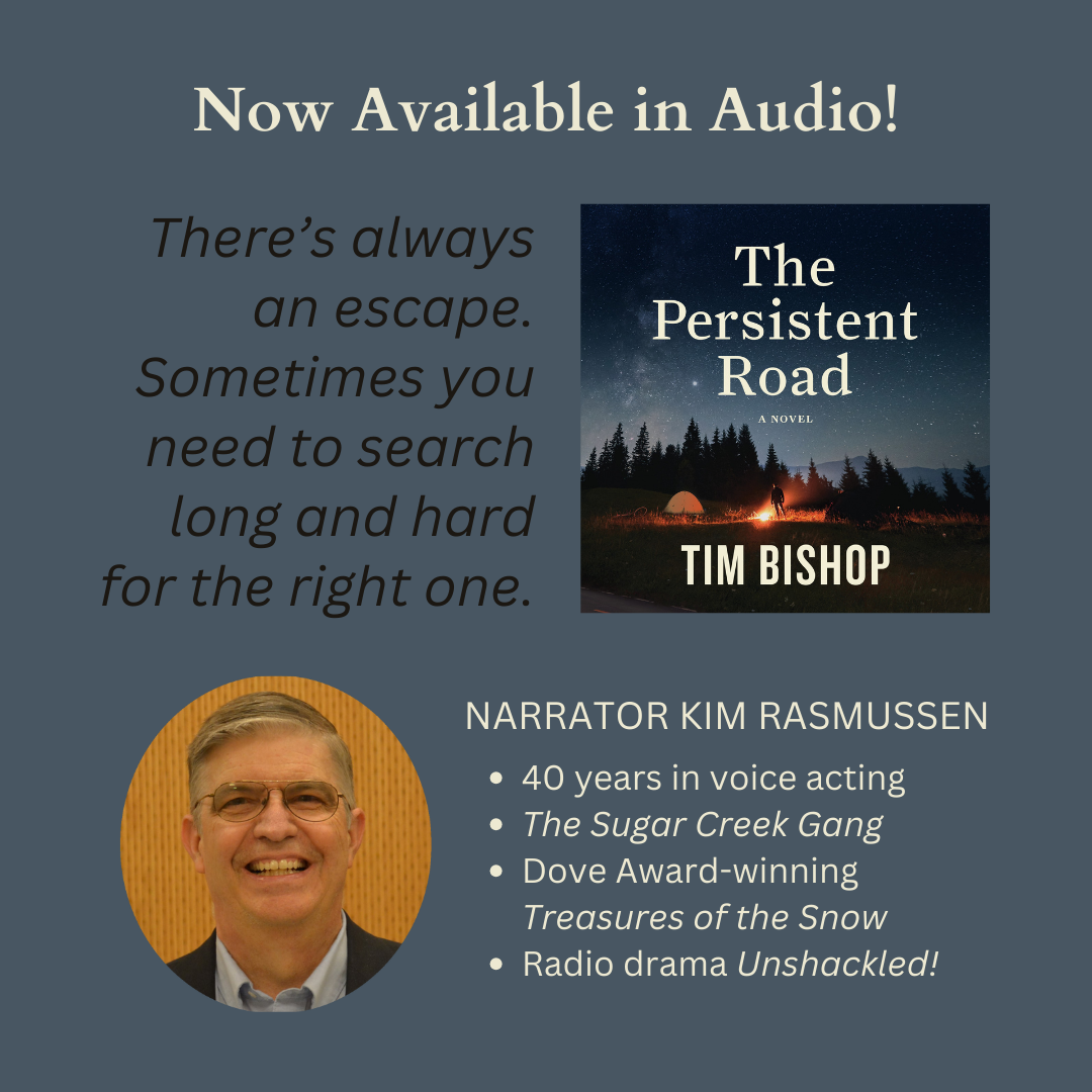 The Persistent Road audiobook